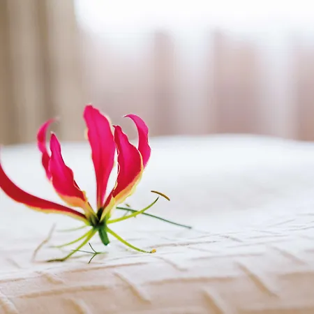 Moevenpick Geneva Hotel Meyrin